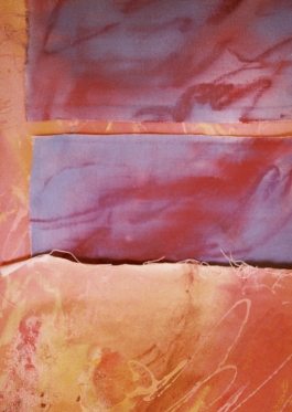LISA SCHULZ